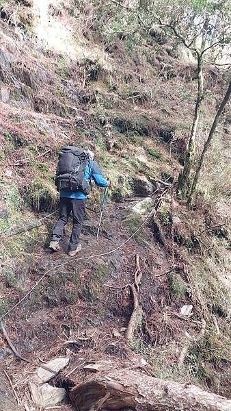 馬博橫斷 百岳行的最後一課~錦毛鼠 百岳行