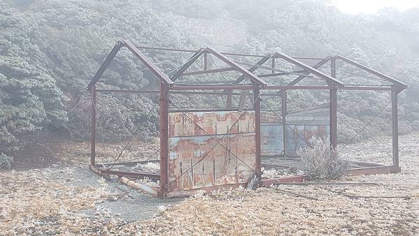 馬博橫斷 百岳行的最後一課~錦毛鼠 百岳行