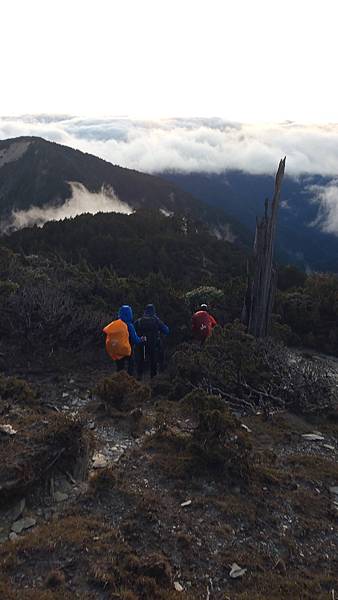 馬博橫斷 百岳行的最後一課~錦毛鼠 百岳行