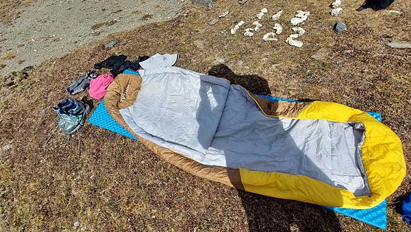 馬博橫斷 百岳行的最後一課~錦毛鼠 百岳行