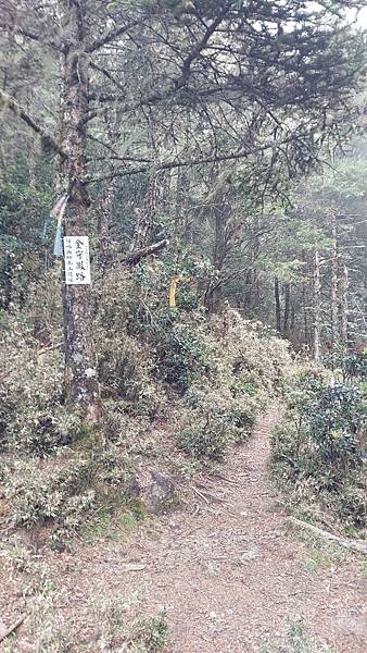 馬博橫斷 百岳行的最後一課~錦毛鼠 百岳行