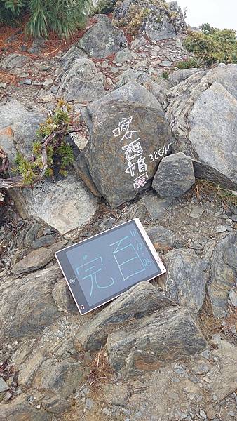 馬博橫斷 百岳行的最後一課~錦毛鼠 百岳行