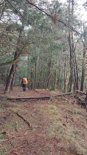 馬博橫斷 百岳行的最後一課~錦毛鼠 百岳行