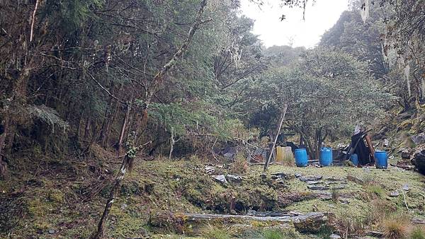 馬博橫斷 百岳行的最後一課~錦毛鼠 百岳行