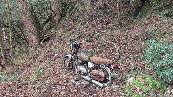 馬博橫斷 百岳行的最後一課~錦毛鼠 百岳行