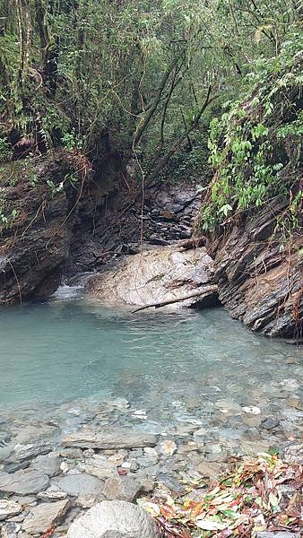 馬博橫斷 百岳行的最後一課~錦毛鼠 百岳行