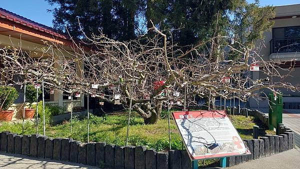 【裝備測試🎒】中橫行不行？ 探索失落的台8線🍐梨山1.5日遊