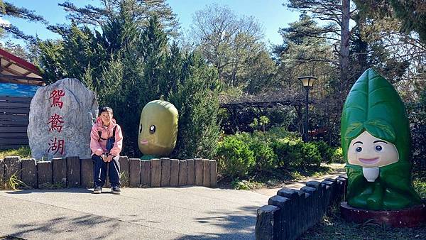 【裝備測試🎒】中橫行不行？ 探索失落的台8線🍐梨山1.5日遊