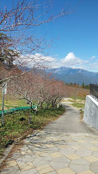 【裝備測試🎒】中橫行不行？ 探索失落的台8線🍐梨山1.5日遊