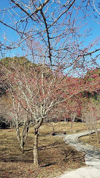 【裝備測試🎒】中橫行不行？ 探索失落的台8線🍐梨山1.5日遊