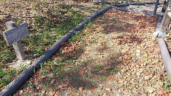 【裝備測試🎒】中橫行不行？ 探索失落的台8線🍐梨山1.5日遊