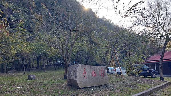 【裝備測試🎒】中橫行不行？ 探索失落的台8線🍐梨山1.5日遊