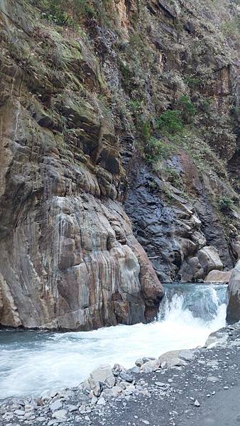 前進惠蓀林場!!!想走的步道都在這裡~海量步道彙總~ 前進惠蓀林場!!!想走的步道都在這裡~海量步道彙總~