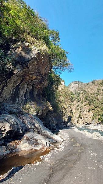 前進惠蓀林場!!!想走的步道都在這裡~海量步道彙總~ 前進惠蓀林場!!!想走的步道都在這裡~海量步道彙總~