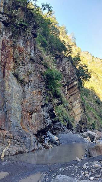 前進惠蓀林場!!!想走的步道都在這裡~海量步道彙總~ 前進惠蓀林場!!!想走的步道都在這裡~海量步道彙總~