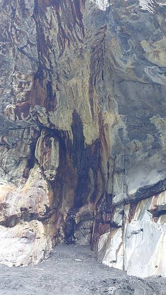 前進惠蓀林場!!!想走的步道都在這裡~海量步道彙總~ 前進惠蓀林場!!!想走的步道都在這裡~海量步道彙總~