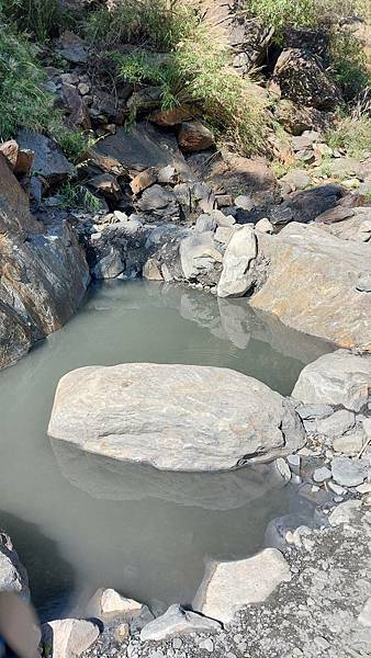 前進惠蓀林場!!!想走的步道都在這裡~海量步道彙總~ 前進惠蓀林場!!!想走的步道都在這裡~海量步道彙總~