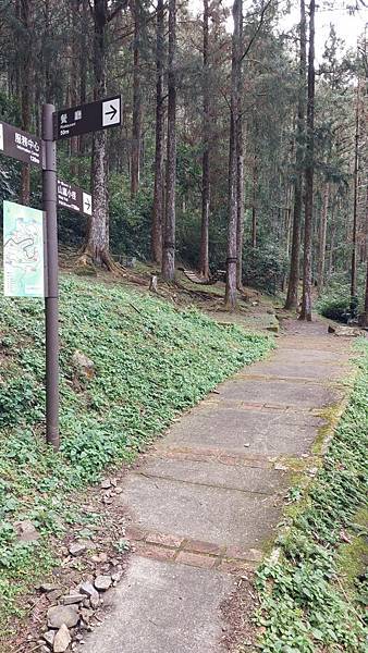 前進惠蓀林場!!!想走的步道都在這裡~海量步道彙總~ 前進惠蓀林場!!!想走的步道都在這裡~海量步道彙總~