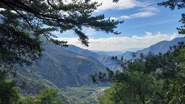 前進惠蓀林場!!!想走的步道都在這裡~海量步道彙總~ 前進惠蓀林場!!!想走的步道都在這裡~海量步道彙總~