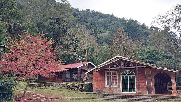 前進惠蓀林場!!!想走的步道都在這裡~海量步道彙總~ 前進惠蓀林場!!!想走的步道都在這裡~海量步道彙總~