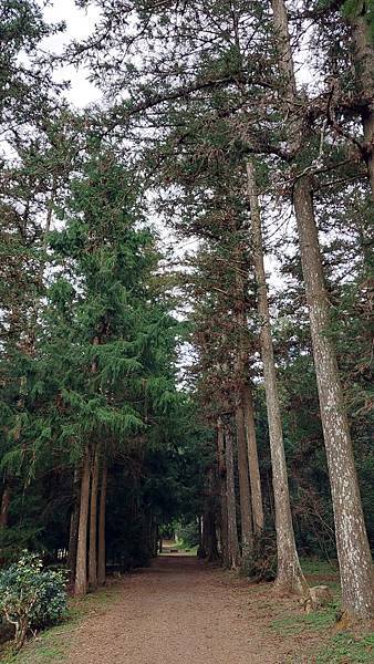前進惠蓀林場!!!想走的步道都在這裡~海量步道彙總~ 前進惠蓀林場!!!想走的步道都在這裡~海量步道彙總~