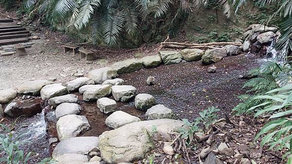 前進惠蓀林場!!!想走的步道都在這裡~海量步道彙總~ 前進惠蓀林場!!!想走的步道都在這裡~海量步道彙總~