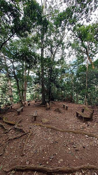 前進惠蓀林場!!!想走的步道都在這裡~海量步道彙總~ 前進惠蓀林場!!!想走的步道都在這裡~海量步道彙總~