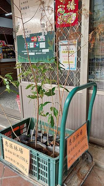 前進惠蓀林場!!!想走的步道都在這裡~海量步道彙總~ 前進惠蓀林場!!!想走的步道都在這裡~海量步道彙總~