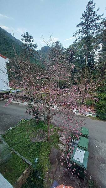 前進惠蓀林場!!!想走的步道都在這裡~海量步道彙總~ 前進惠蓀林場!!!想走的步道都在這裡~海量步道彙總~