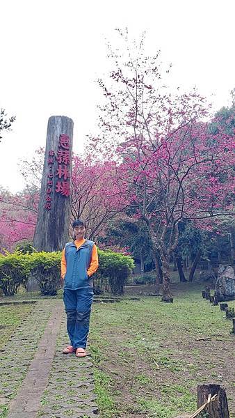 前進惠蓀林場!!!想走的步道都在這裡~海量步道彙總~ 前進惠蓀林場!!!想走的步道都在這裡~海量步道彙總~