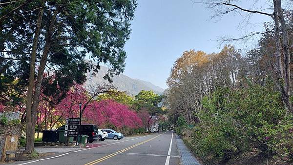 前進惠蓀林場!!!想走的步道都在這裡~海量步道彙總~ 前進惠蓀林場!!!想走的步道都在這裡~海量步道彙總~