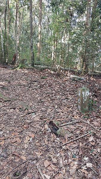 前進惠蓀林場!!!想走的步道都在這裡~海量步道彙總~ 前進惠蓀林場!!!想走的步道都在這裡~海量步道彙總~