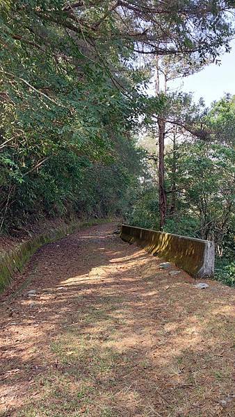 前進惠蓀林場!!!想走的步道都在這裡~海量步道彙總~ 前進惠蓀林場!!!想走的步道都在這裡~海量步道彙總~