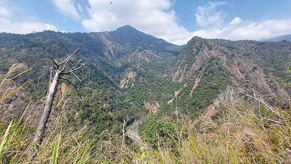 前進惠蓀林場!!!想走的步道都在這裡~海量步道彙總~ 前進惠蓀林場!!!想走的步道都在這裡~海量步道彙總~