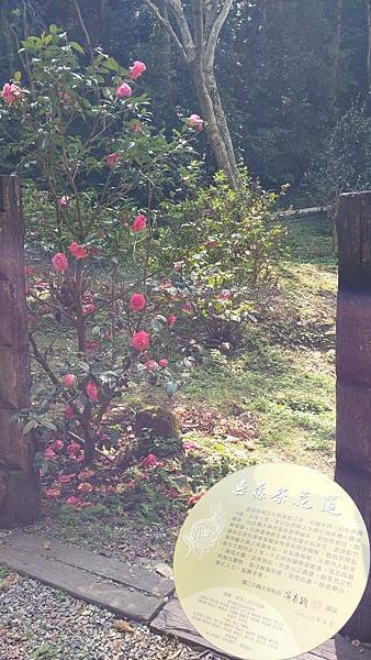 前進惠蓀林場!!!想走的步道都在這裡~海量步道彙總~ 前進惠蓀林場!!!想走的步道都在這裡~海量步道彙總~