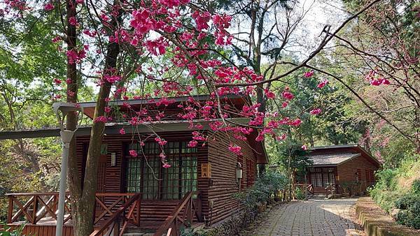 前進惠蓀林場!!!想走的步道都在這裡~海量步道彙總~ 前進惠蓀林場!!!想走的步道都在這裡~海量步道彙總~