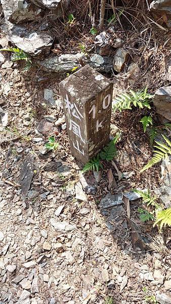 前進惠蓀林場!!!想走的步道都在這裡~海量步道彙總~ 前進惠蓀林場!!!想走的步道都在這裡~海量步道彙總~