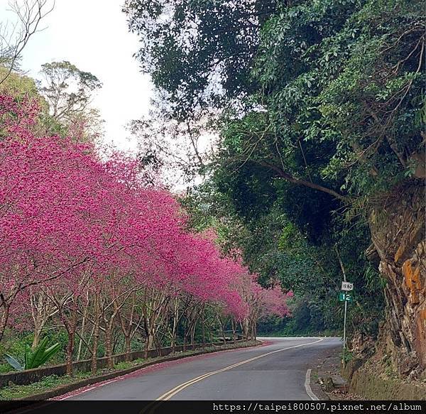 前進惠蓀林場🌲!!!想走的步道都在這裡~海量步道集合🍀~ 前進惠蓀林場🌲!!!想走的步道都在這裡~海量步道集合🍀~