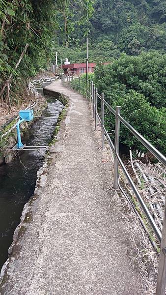 133646.jpg 133646.jpg