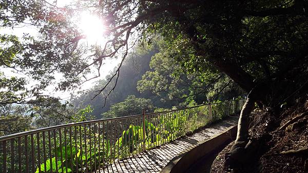 20161117_154442.jpg 20161117_154442.jpg