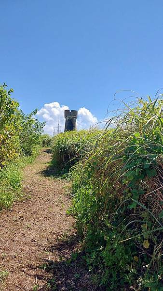 【生態考察】北方三島前進~造訪遠得要命的神祕王國 【生態考察】北方三島前進~造訪遠得要命的神祕王國