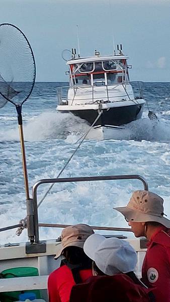 【生態考察】北方三島前進~造訪遠得要命的神祕王國 【生態考察】北方三島前進~造訪遠得要命的神祕王國