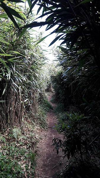 160969_0.jpg 160969_0.jpg