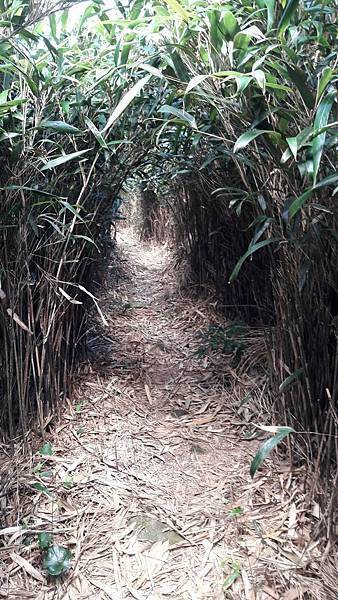 160974_0.jpg 160974_0.jpg