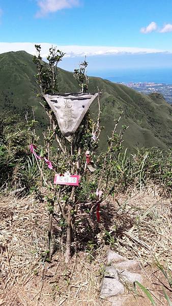 160975_0.jpg 160975_0.jpg