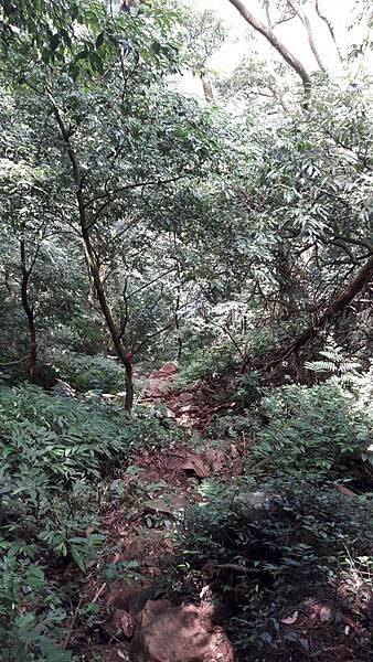 160979_0.jpg 160979_0.jpg