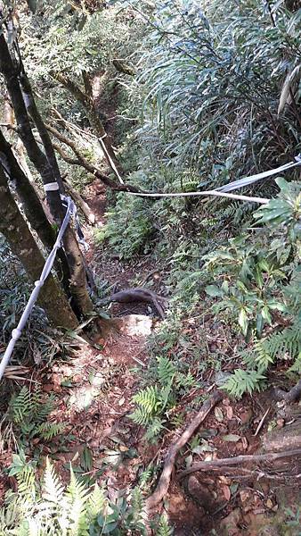 160977_0.jpg 160977_0.jpg