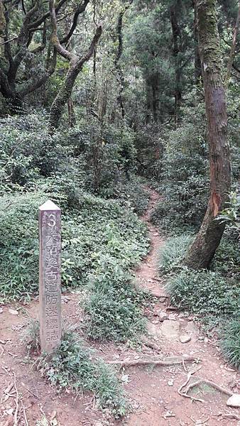 160980_0.jpg 160980_0.jpg