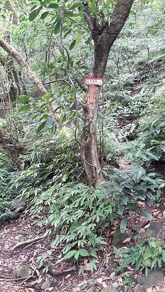 160981_0.jpg 160981_0.jpg