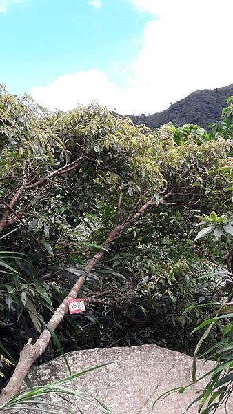 160983_0.jpg 160983_0.jpg